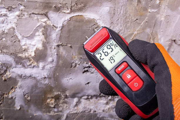 Best Mold Removal Process  in Bartlett, IL